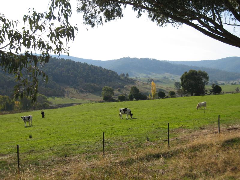 Yackandandah - Wodonga Road, north-east of Yackandandah: North-westerly view near Glass La