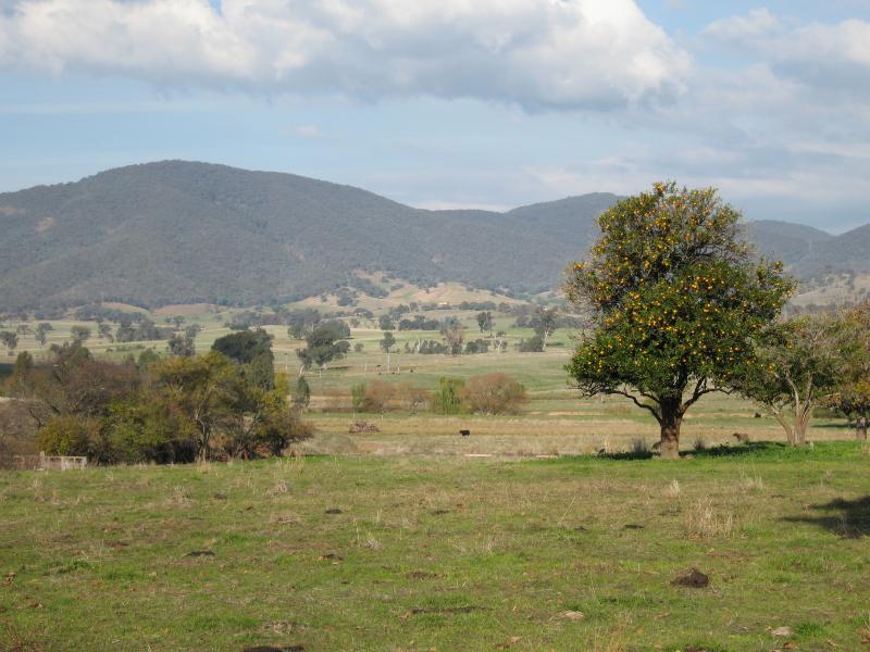 Yackandandah - Wodonga Road, north-east of Yackandandah: South-east view, Staghorn Flat