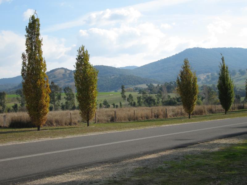 Yackandandah - Allans Flat, Gap Flat Road: View west across Gap Flat Road near lake