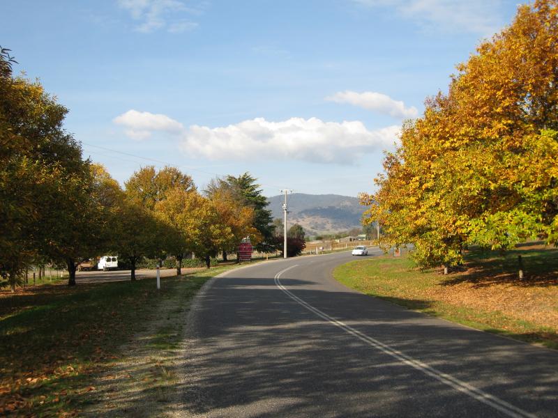 Yackandandah - Allans Flat, Gap Flat Road: View east along Gap Flat Rd near strawberry farm
