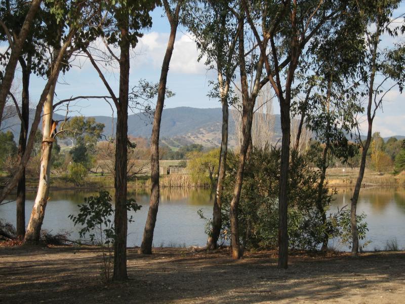 Yackandandah - Allans Flat Reserve and lake, Gap Flat Road: View across lake from car park at reserve