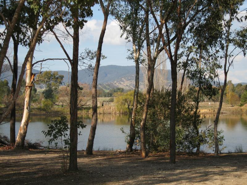 Yackandandah - Allans Flat Reserve and lake, Gap Flat Road - View across lake from car park at reserve