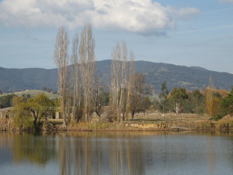 Yackandandah - Allans Flat Reserve and lake, Gap Flat Road: Easterly views across lake from reserve