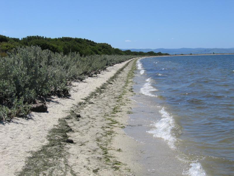 Yanakie - Duck Point and Corner Inlet, Foley Road: View north along coast from near boat ramp