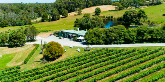 Waratah Hills Vineyard, Fish Creek