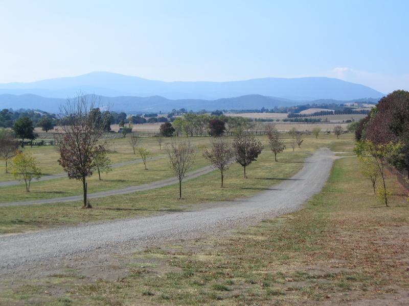 Yarra Glen - Yarra Valley Racing Centre, Armstrong Grove: View from car park