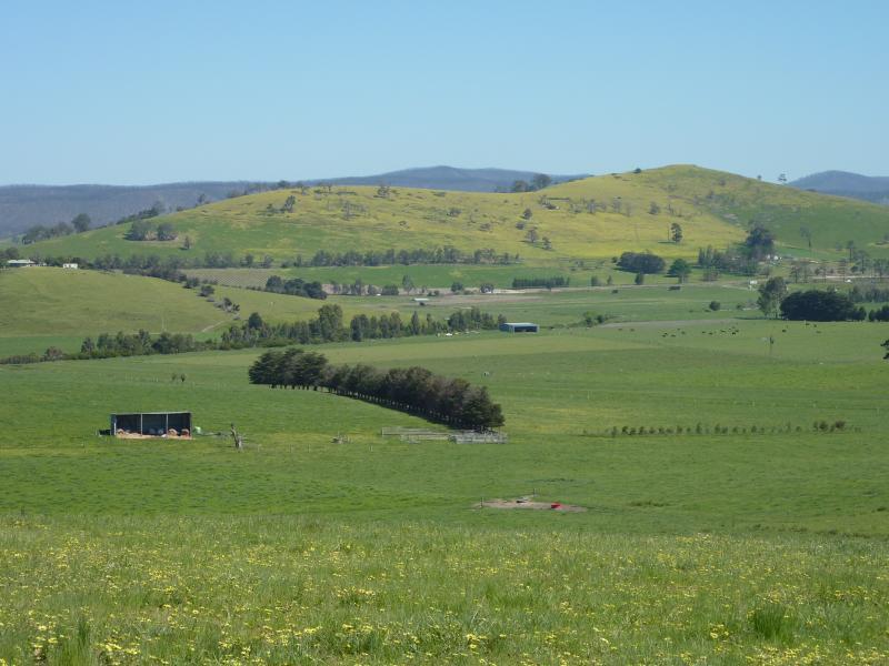 Yarra Glen - Old Healesville Road: North-westerly view near Bleases La