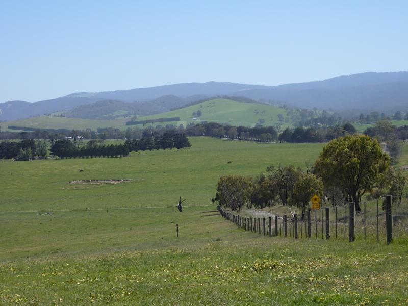 Yarra Glen - Old Healesville Road: Northerly view along Bleases La