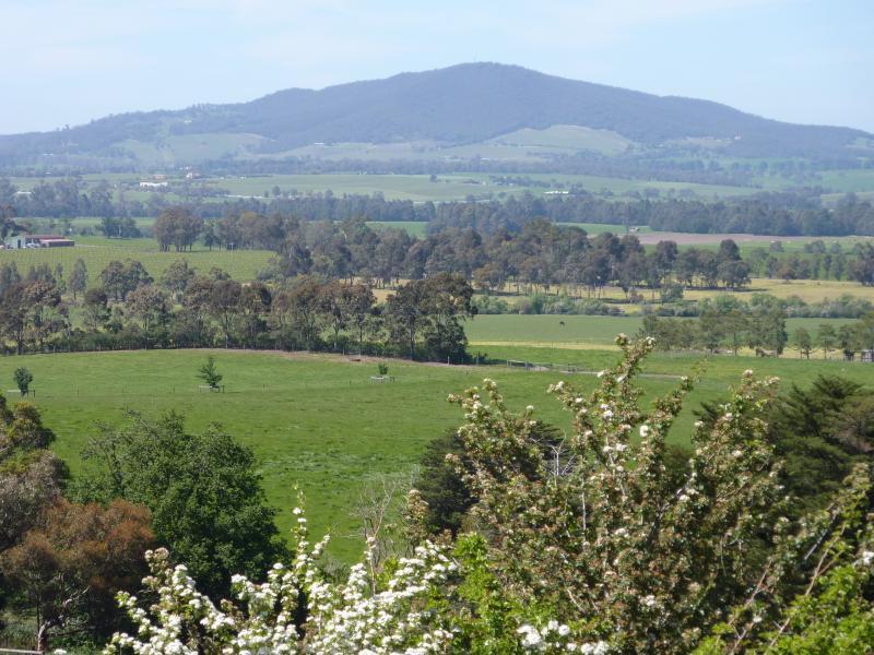 Yarra Glen - Old Healesville Road: Southerly view at Tarrawarra Rd