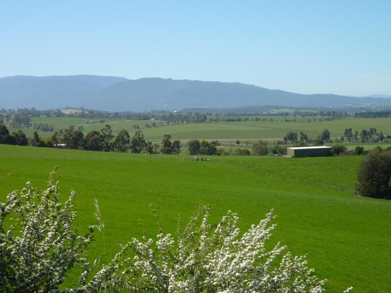Yarra Glen - Old Healesville Road: South-easterly view at Tarrawarra Rd