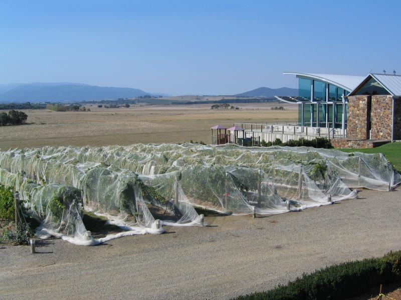 Yarra Glen - Chateau Yering and Yering Station Winery: View across winery towards Wine Bar Restaurant and tourist complex