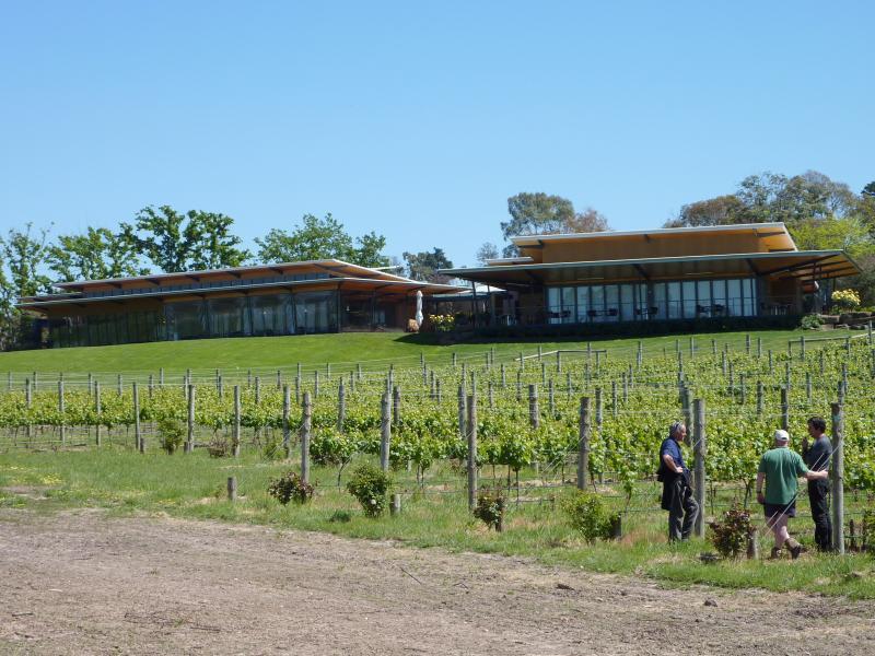 Yarra Glen - Gulf Road at Balgownie Estate: Balgownie Estate restaurant and cellar door fronting Gulf Rd