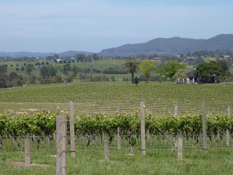 Yarra Glen - Gulf Road at Balgownie Estate: Southerly view across Yarrawood Estate