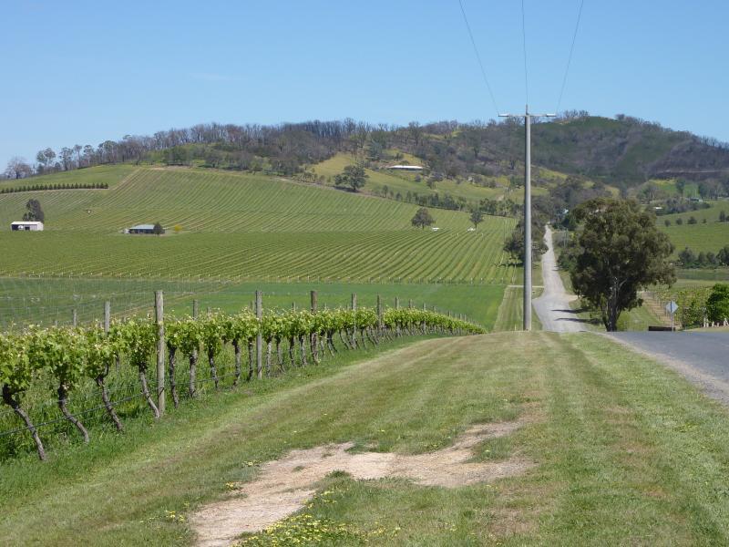 Yarra Glen - Melba Highway at Pinnacle Lane, Dixons Creek: View west along Pinnacle La