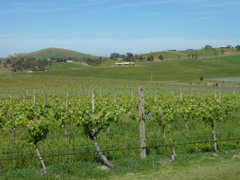 Yarra Glen - Melba Highway at Pinnacle Lane, Dixons Creek: View south-west across vineyard