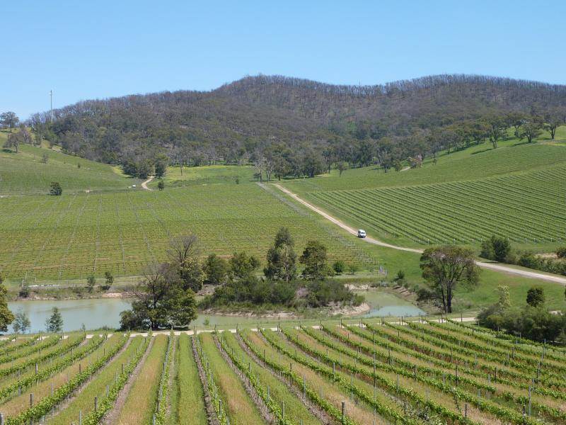 Yarra Glen - De Bortoli Winery, Pinnacle Lane, Dixons Creek: Westerly view across vineyard from car park