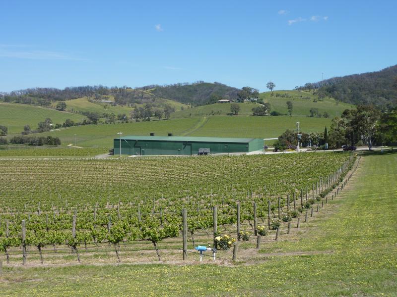 Yarra Glen - De Bortoli Winery, Pinnacle Lane, Dixons Creek: Westerly view across vines in front of picnic area