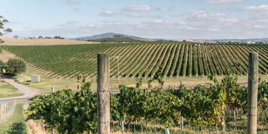 Balgownie Estate, Yarra Glen