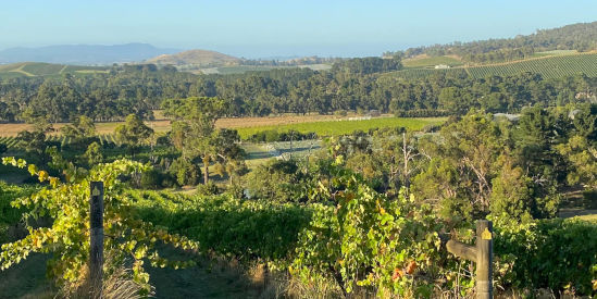 Sutherland Estate, Dixons Creek