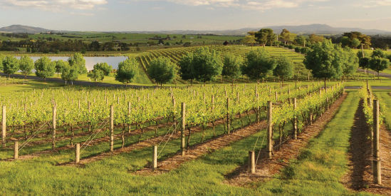 Yarrawood Estate, Yarra Glen