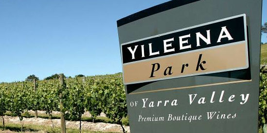 Yileena Park Vineyard, Yarra Glen