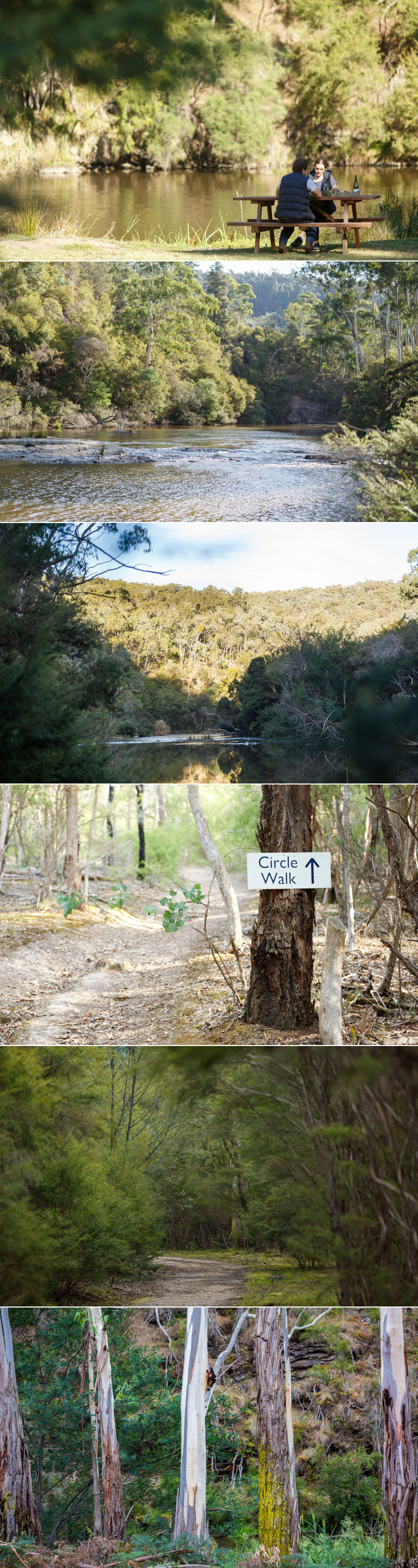 Yering Gorge Cottages - Nature reserve