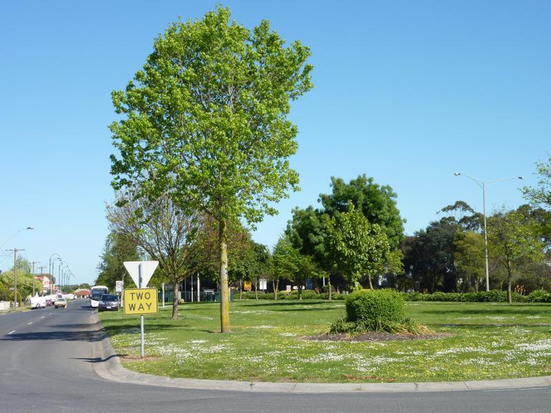 Yarragon - Waterloo Park, Princes Highway service road between Murray Street and Rollo Street - View west through park and along service road at Rollo St