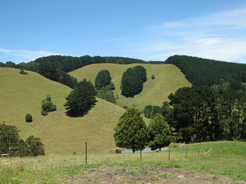 Yarragon - Scenery at various spots along Leongatha Road, south of Yarragon: View west