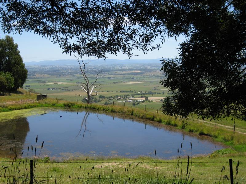 Yarragon - Scenery at various spots along Leongatha Road, south of Yarragon: View north across dam