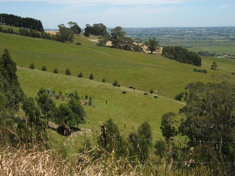 Yarragon - Scenery at various spots along Leongatha Road, south of Yarragon: View west
