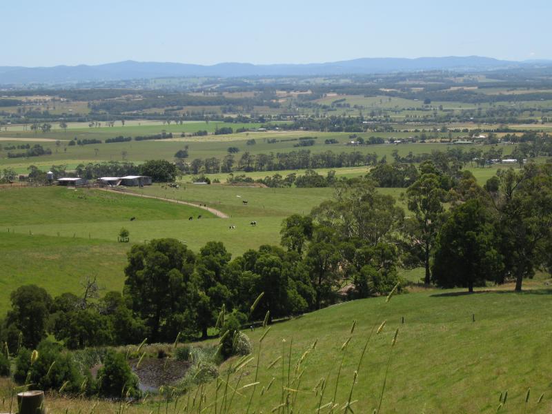 Yarragon - Scenery at various spots along Leongatha Road, south of Yarragon: Northerly views