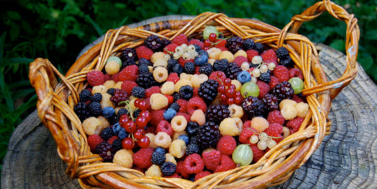 Sunny Creek Organic, Trafalgar South