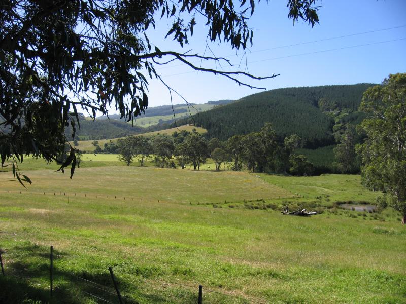 Yarram - Tarra Valley Road, north-west of Yarram: Northerly views, north of Devon North
