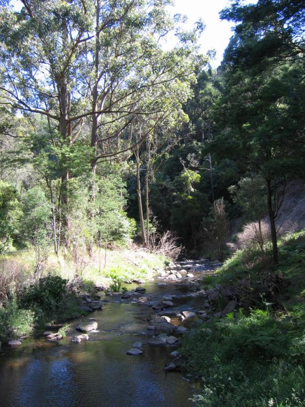 Yarram - Tarra Valley Road, north-west of Yarram: View along Tarra River at one of several picnic areas