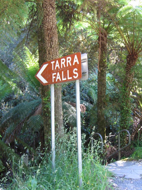 Yarram - Tarra-Bulga National Park: Path to Tarra Falls
