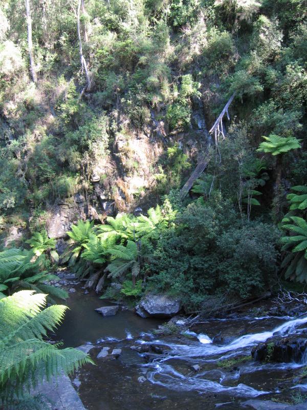 Yarram - Tarra-Bulga National Park: Tarra Falls