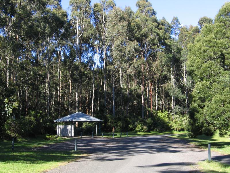 Yarram - Tarra-Bulga National Park: Car park and BBQ shelter