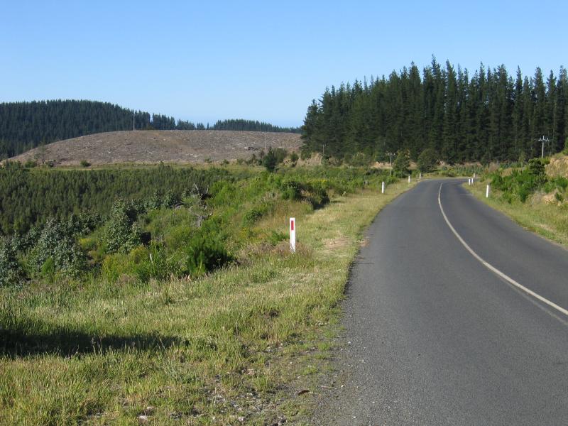 Yarram - Scenery around Mt Tassie, Balook Road: View north-east along Balook Rd, north of Mt Tassie