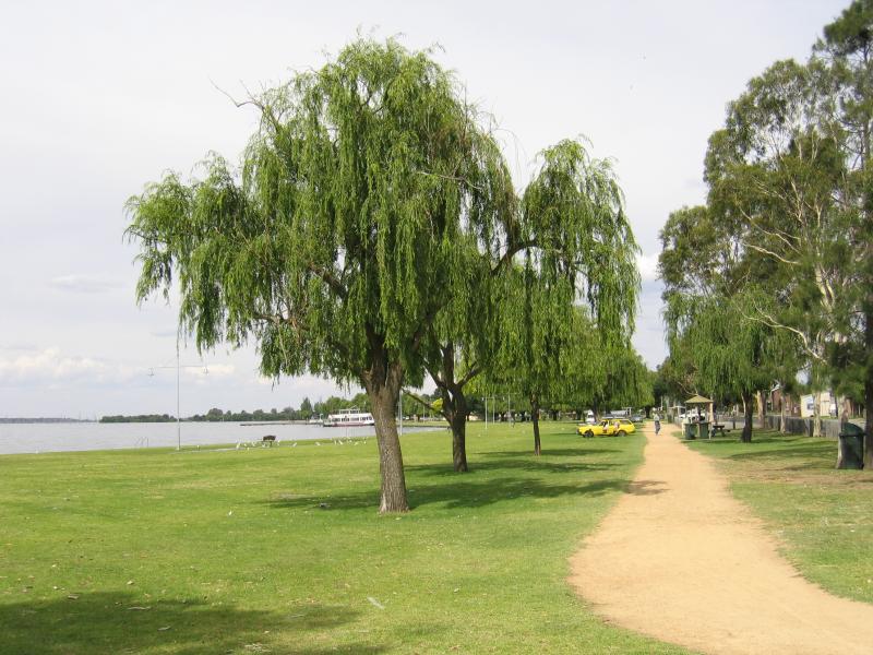 Yarrawonga - Lake Mulwala: View east along lake foreshore and park from Hunt St near Belmore St