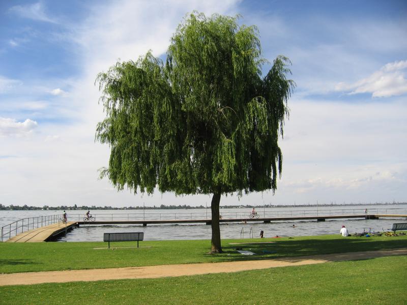Yarrawonga - Lake Mulwala: Swimming enclosure, Bank St