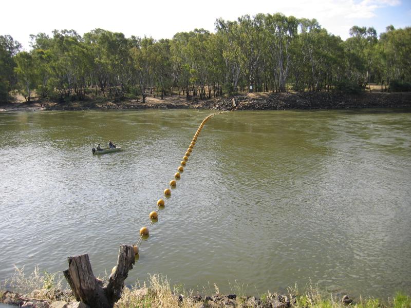 Yarrawonga - Alexandra Park and Yarrawonga Weir on Murray River at Lake Mulwala: View north across Murray River just west of weir