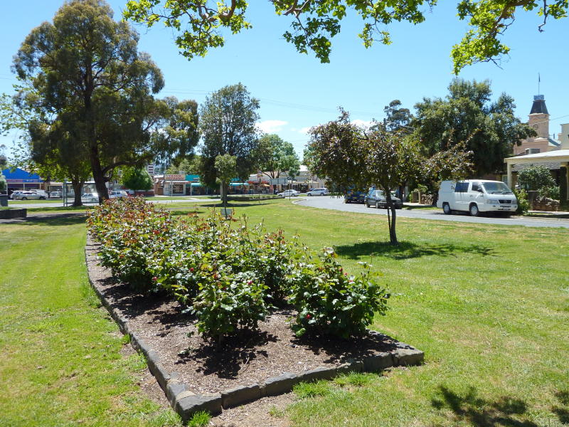 Yea - Yea Fountain Gardens, High Street between The Crescent and Pechell Street: Rose gardens along The Crescent