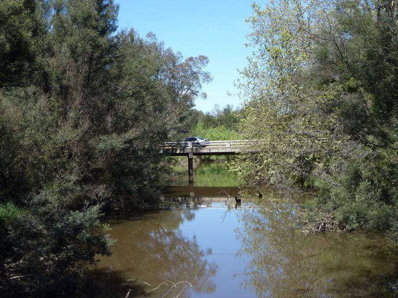 Yea - Yea Wetlands, western section near Hood Street - View south along Yea River from John Cotton Bridge