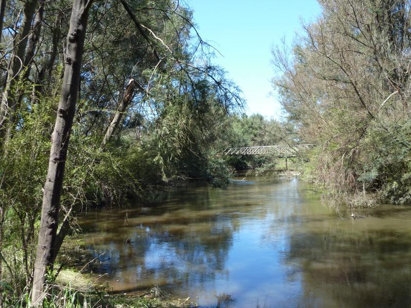Yea - Yea Wetlands, western section near Hood Street - View south along Yea River towards John Cotton Bridge
