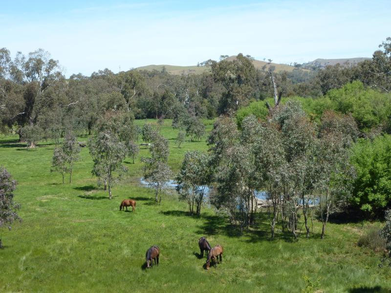 Yea - Killingworth Road: Southerly view, 500m from Goulburn Valley Hwy