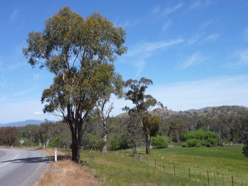 Yea - Killingworth Road: View south-west along Killingworth Rd, 750m from Goulburn Valley Hwy