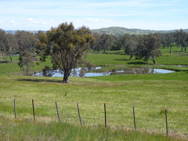 Yea - Killingworth Road: Westerly view towards dam, 750m from Goulburn Valley Hwy