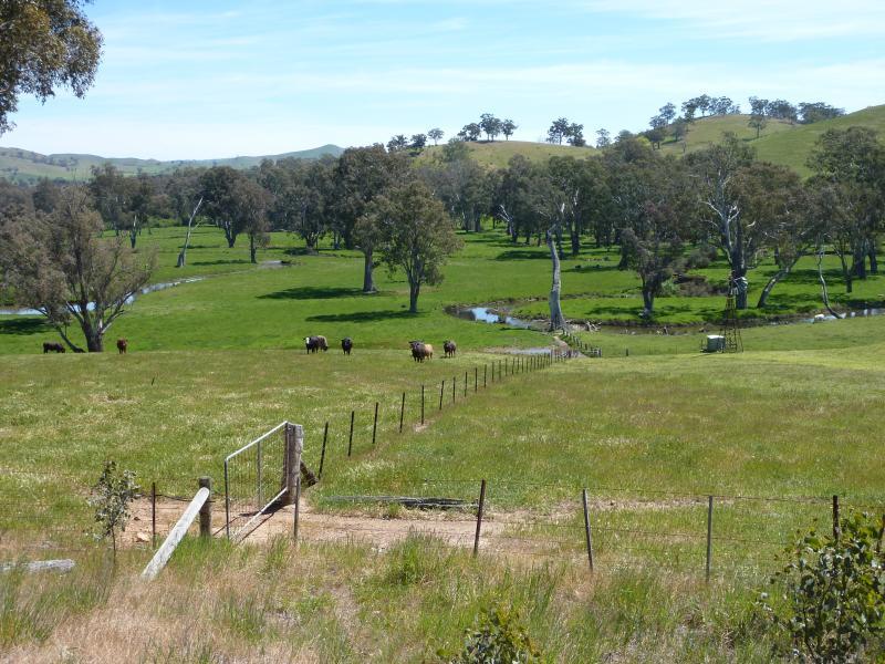 Yea - Killingworth Road - Westerly view, 750m from Goulburn Valley Hwy