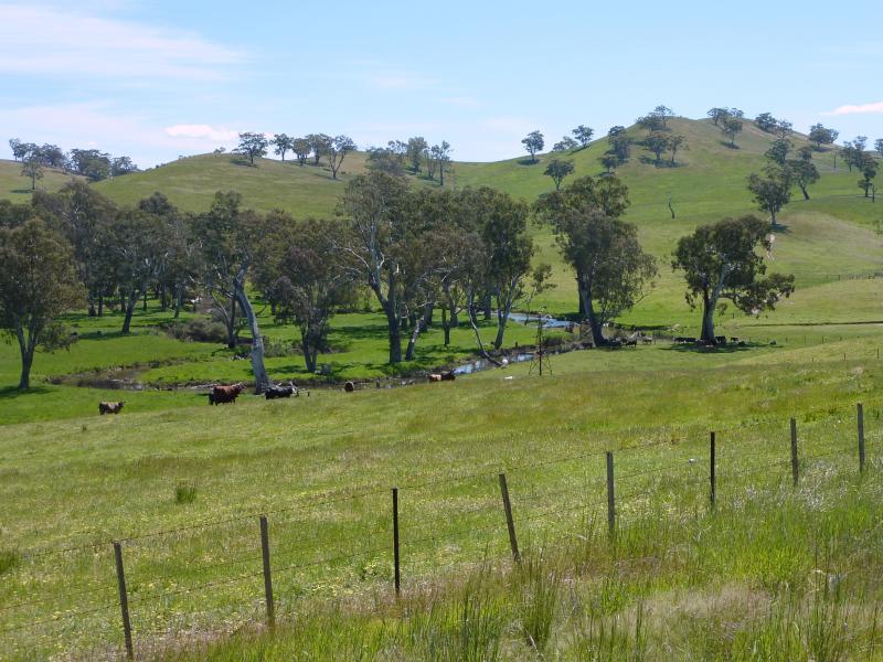 Yea - Killingworth Road: North-westerly view, 750m from Goulburn Valley Hwy
