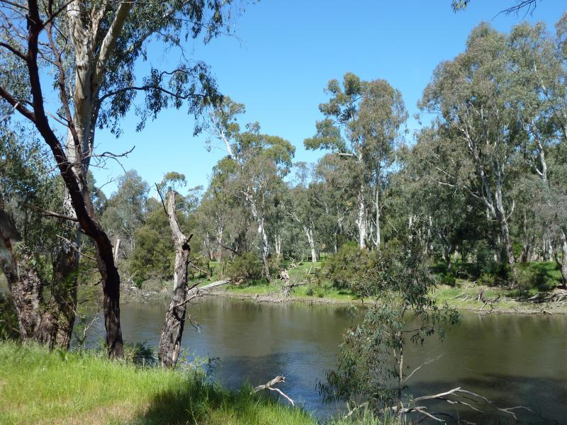 Yea - Goulburn River at the reserve and boat ramp off east side of Ghin Ghin Road - View south across river near boat ramp